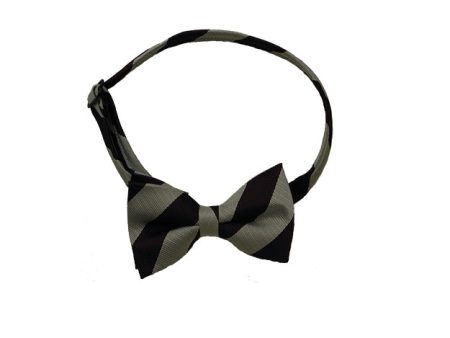 Pre-Tied Bow Tie Online Hot Sale