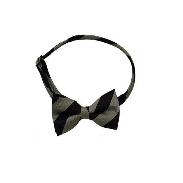 Pre-Tied Bow Tie Online Hot Sale