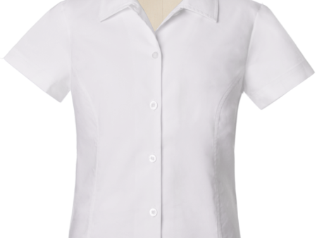 Short Sleeve Fitted Oxford Blouse Supply