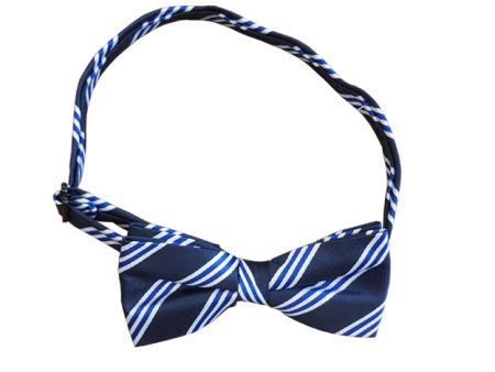 Pre-Tied Bow Tie Online