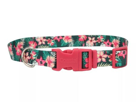 Styles Adjustable Dog Collar Tropical Flower Medium 3 4 x 14-20 In Cheap