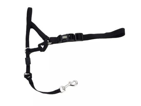 Walk  n Train Dog Head Halter Black 1ea MD Online Hot Sale