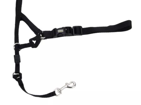 Walk  n Train Dog Head Halter Black 1ea LG For Sale