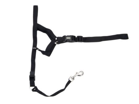 Walk  n Train Dog Head Halter Black 1ea XL Discount