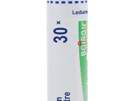 Boiron, Ledum Palustre 30X, 80 Pellets Online