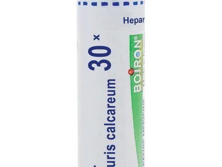 Boiron, Hepar Sulphuris Calcareum 30X, 80 Pellets Hot on Sale