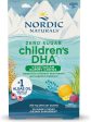 Nordic Naturals, Zero Sugar Children s DHA Gummies, 30 Vegetarian Gummies on Sale