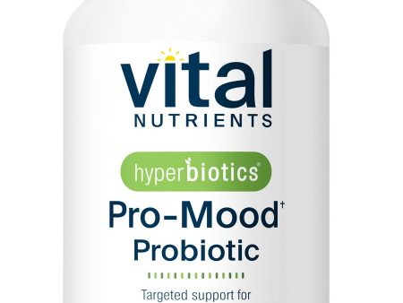 Hyperbiotics, PRO-Mood with L-Theanine, 60 Time-Release Tablets For Discount