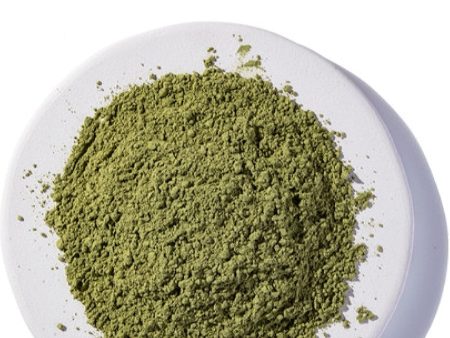 Starwest Botanicals, Matcha Tea Powder Organic, 1 lb on Sale