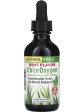 Herbs Etc., Alcohol Free ChlorOxygen Chlorophyll Concentrate, Mint Flavor, 2 Fluid Ounce Online Hot Sale