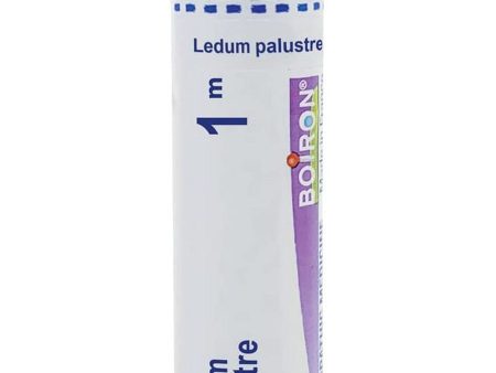 Boiron, Ledum Palustre 1M, 80 Pellets Sale