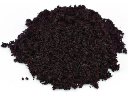 Starwest Botanicals, Acai Berry Freeze Dried Powder, 1 lb Online