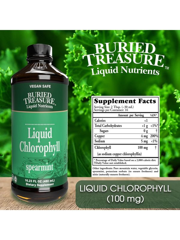 Buried Treasure, Liquid Chlorophyll, 16.23 fl oz Hot on Sale