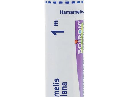 Boiron, Hamamelis Virginiana 1M, 80 Pellets Discount