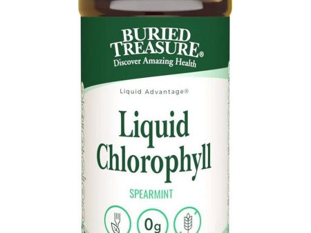 Buried Treasure, Liquid Chlorophyll, 16.23 fl oz Hot on Sale