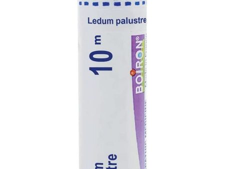 Boiron, Ledum Palustre 10M, 80 Pellets Fashion