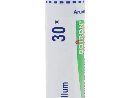 Boiron, Arum Triphyllum 30X, 80 Pellets on Sale