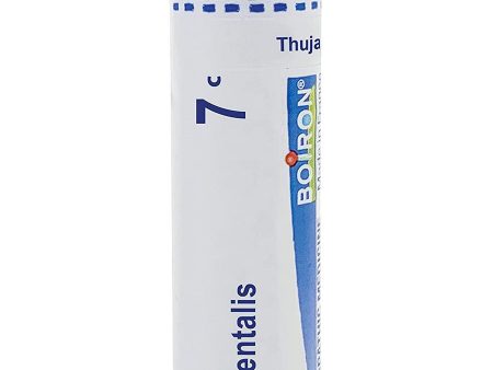 Boiron, Thuja Occidentalis 7C, 80 Pellets For Discount