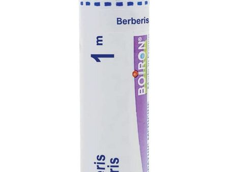 Boiron, Berberis Vulgaris 1M, 80 Pellets Cheap