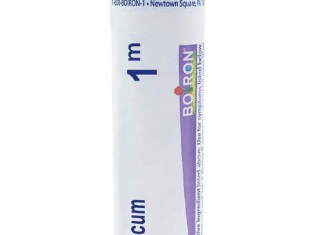 Boiron, Arsenicum Album 1M, 80 Pellets For Discount