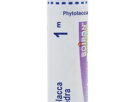 Boiron, Phytolacca Decandra 1M, 80 Pellets Hot on Sale