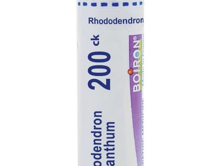 Boiron, Rhododendron Chrysanthum 200CK, 80 Pellets on Sale