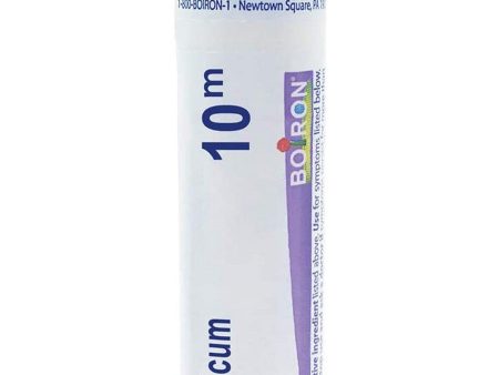 Boiron, Arsenicum Album 10M, 80 Pellets Online