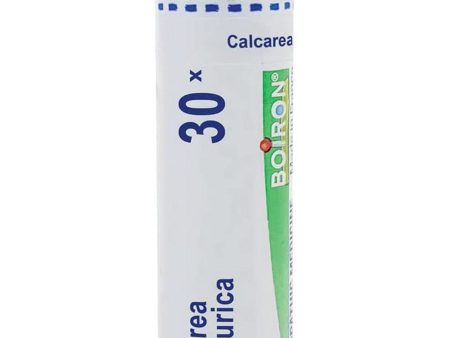 Boiron, Calcarea Sulphurica 30X, 80 Pellets Online Sale