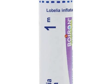 Boiron, Lobelia Inflata 1M, 80 Pellets Cheap