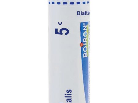 Boiron, Blatta Orientalis 5C, 80 Pellets Online Sale