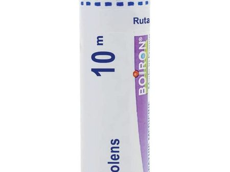 Boiron, Ruta Graveolens 10M, 80 Pellets Fashion