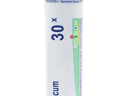 Boiron, Arsenicum Album 30X, 80 Pellets Discount