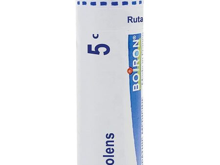 Boiron, Ruta Graveolens 5C, 80 Pellets Hot on Sale