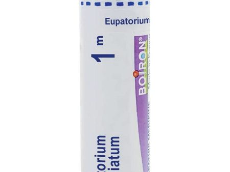 Boiron, Eupatorium Perfoliatum 1M, 80 Pellets Sale