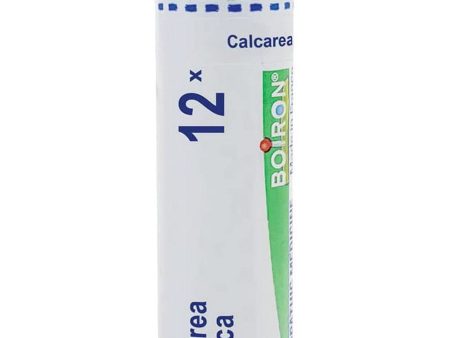 Boiron, Calcarea Fluorica 12X, 80 Pellets Online Hot Sale