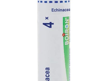 Boiron, Echinacea 4X, 80 Pellets Fashion