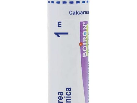 Boiron, Calcarea Carbonica 1M, 80 Pellets Cheap