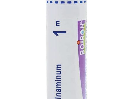 Boiron, Thiosinaminum 1M, 80 Pellets Sale