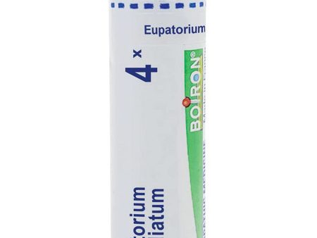 Boiron, Eupatorium Perfoliatum 4X, 80 Pellets Online Sale