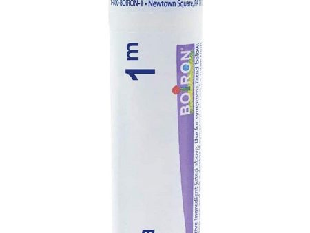 Boiron, Bryonia 1M, 80 Pellets For Discount